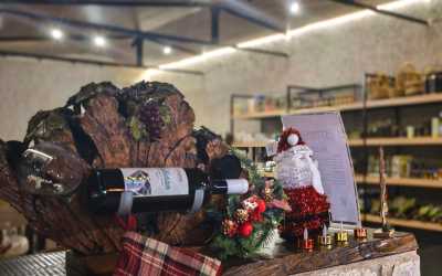 Wycieczka Szlakiem Cypryjskich Winnic - Sterna Winiarnia